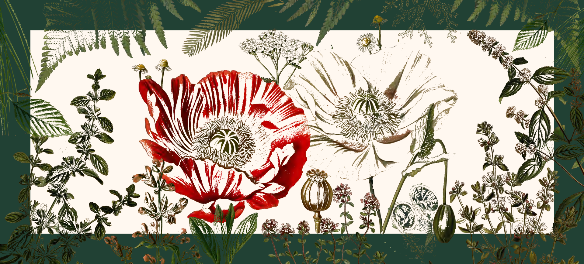 Garden plants composition